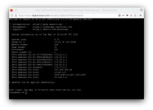 Screenshot of Digital Ocean's browser-based console, logged into VPS as the root user.